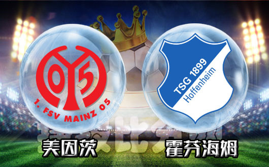 霍芬海姆队员努力奋战，将战胜困难迎来成功的简单介绍